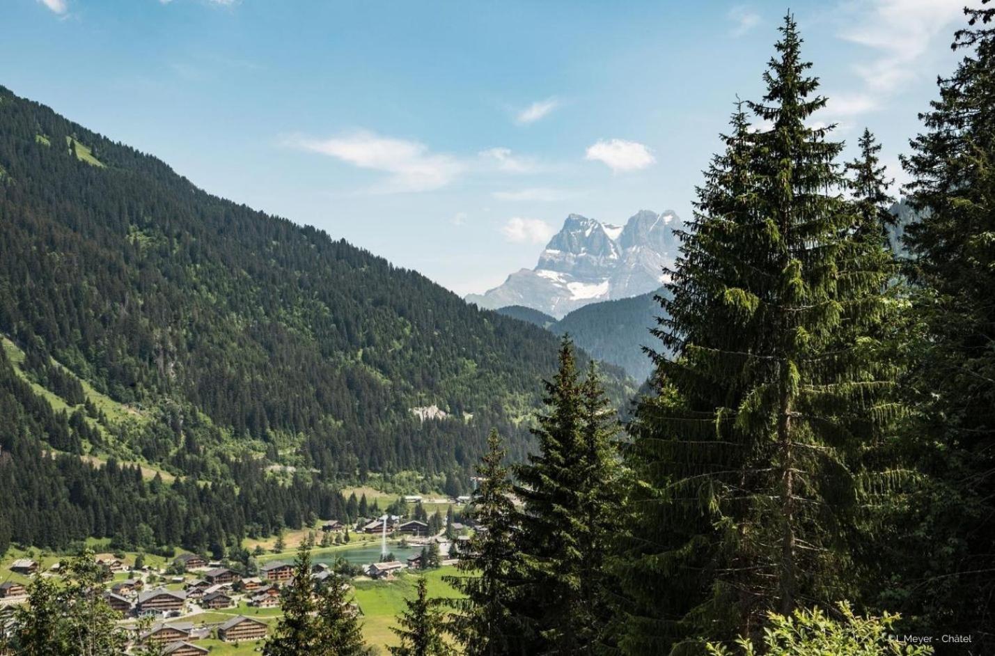 Ferienwohnung Toison Blanche Tba3 Cosy & Mountain 4 Pers Châtel Exterior foto